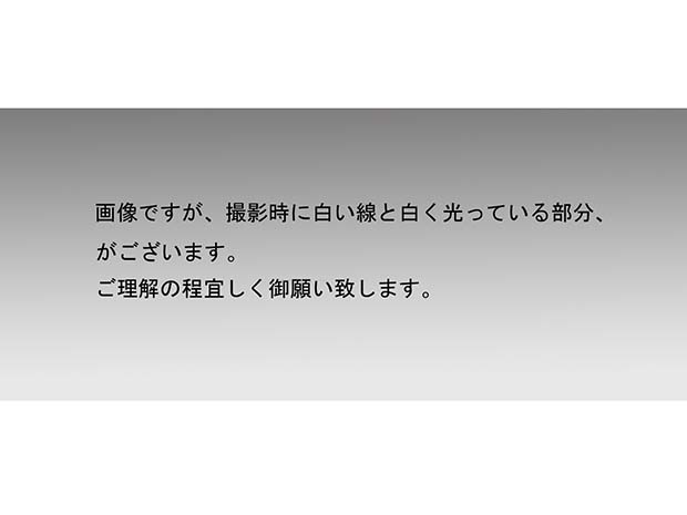 信楽紹鴎好水指 杉本貞光(造) 共箱 立花大亀箱書